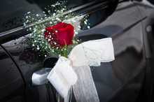 Ornament Of Red Rose With White Bow Nicely Decorates Silver Handle Of Black Wedding Car. Ceremony Detail Concept