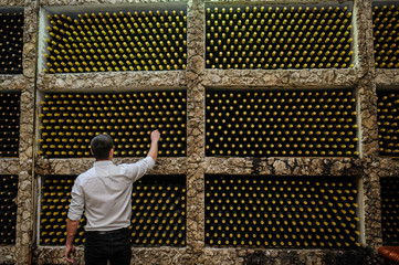 Winery, shelves with wine bottles