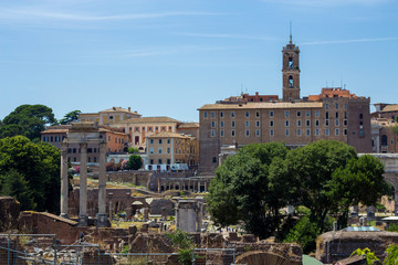 ROMAN FORUM LANDSCAPE