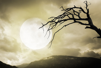 halloween background. spooky mountains and tree with full moon