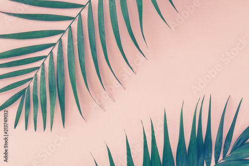 Naklejka na kafelki Palm leaves over pink background. Trend vintage toned.