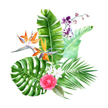 Watercolor Tropical Bouquet