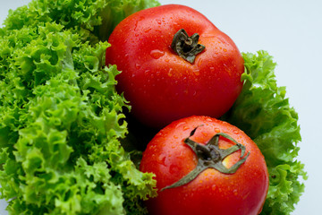 Fresh red tomatoes and green salad