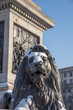 UK, England, London, The West End, Trafalgar Square, Nelson's Column, one of Edwin Landseer's Lions