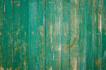 Wall Mural - Textura de fondo de madera decapada verde con listones verticales