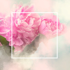 Poster - Pink peony flowers square gift card with white frame and copy space; floral background