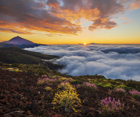 Wall Mural - spectacular sunset above the clouds in the teide volcano national park in tenerife