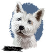 Cairn terrier puppy portrait digital art illustration