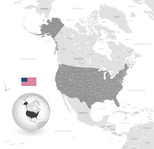 Grey Vector Political Map Of The USA