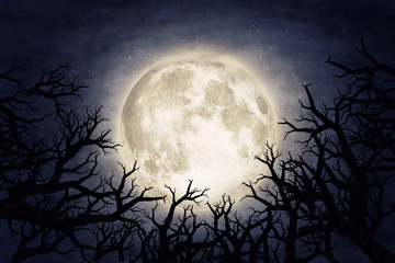 moon