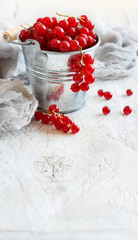 Wall Mural - Ripe red currant berries