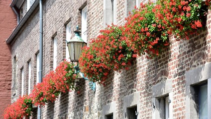 Canvas Print - façade fleurie