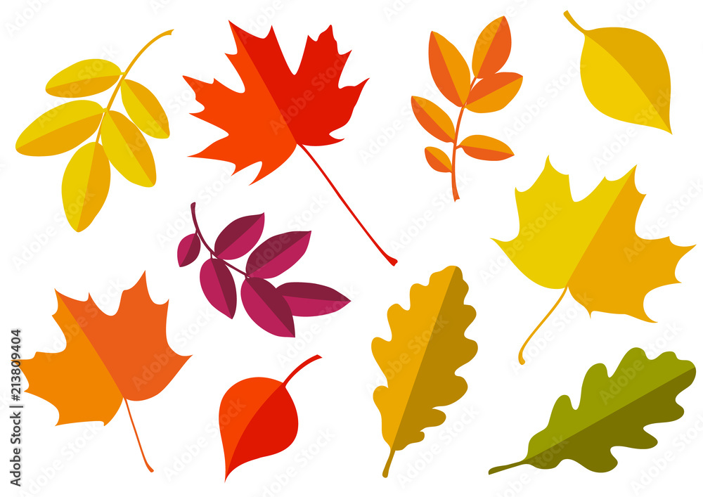 Vector set of decorative autumn leaf silhouettes. - obrazy, fototapety, plakaty 