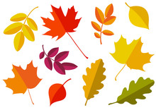 Vector Set Of Decorative Autumn Leaf Silhouettes.