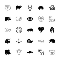 Wall Mural - Collection of 25 wildlife filled and outline icons
