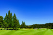 © show999 - landscape of japanese golf course in chiba (No1852)