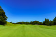 © show999 - landscape of japanese golf course in chiba (No1846)