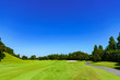 © show999 - landscape of japanese golf course in chiba (No1847)