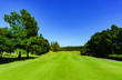 © show999 - landscape of japanese golf course in chiba (No1849)