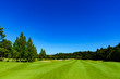 © show999 - landscape of japanese golf course in chiba (No1851)