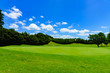 © show999 - landscape of japanese golf course in chiba (No1805)