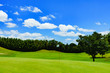 © show999 - landscape of japanese golf course in chiba (No1801)