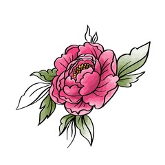 Sticker - Garden peony. Watercolor, hand painted, isolated on white background.