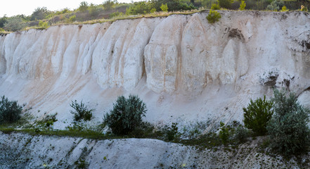 Sheer cliff rock. An old abandoned quarry for the extraction of chalk.