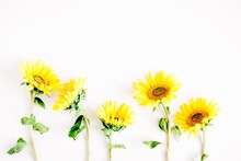 Flowers Composition. Border Made Of Yellow Flowers Sunflower On White Background. Flat Lay, Top View, Copy Space 