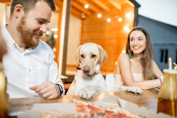 Wall Mural - Cute dog dining with people during the evening light on the backyard of the house outdoors