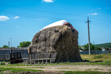 Russian village in summer