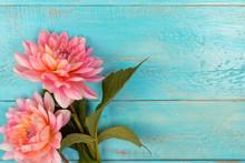 Summer Background. Dahlias . Light Pink Daisies On A Wooden Blue Background.