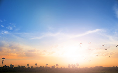 Wall Mural - sunrise sunset sky background of mount zion and mount of olives
