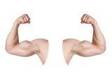 Fototapeta  - cut out male arms with flexed biceps muscles isolated on white