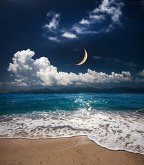 Wall Mural - sea and moon