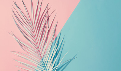 Wall Mural - Palm leaf on pastel pink and blue background with copy space. Tropical summer concept. Minimal flat lay.