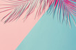 Painted palm leaves on pastel pink and blue background with copy space. Tropical summer concept. Minimal flat lay.