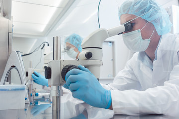 Two lab technicians or scientists working in laboratory looking thru microscopes 