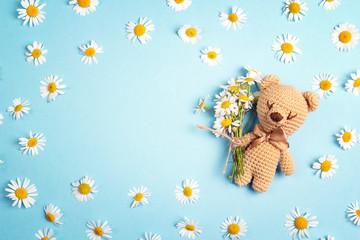 cute toy bear with chamomile flowers and copy space on a blue background.