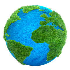 Poster - green grass Earth 3D illustration