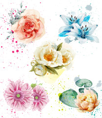 Wall Mural - Beautiful flowers watercolor set Vector. Blue lily, gerber and roses floral collections