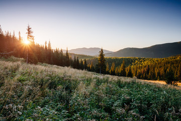 Fototapete - Bright hills and gorgeous scene of the alpine valley.