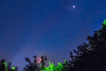 Wall Mural - night landscape moon