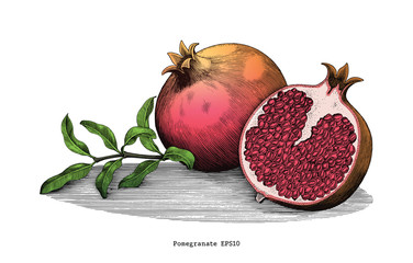 Pomegranate hand drawing vintage clip art isolated on white background