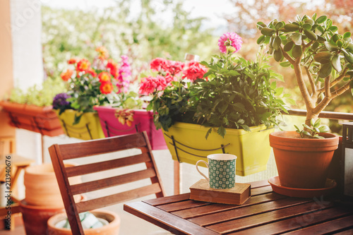 Fotomural Cozy summer balcony with many potted plants, cup of tea and old vintage book