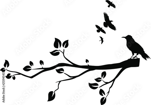 Malvorlage Vögel Auf Ast - Malvorlagen für kinder