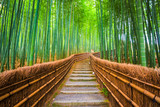 Fototapeta Las - Kyoto, Japan Bamboo Forest
