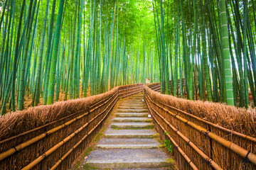  Kioto, Japonia Las bambusowy