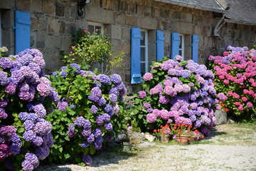 Canvas Print - Haus in der Bretagne