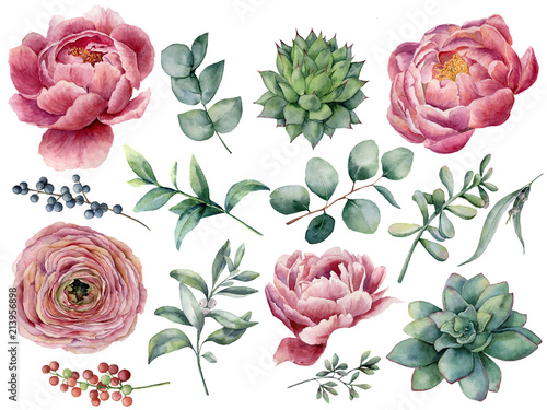 Watercolor peony, succulent and ranunculus floral set Wallpaper Mural